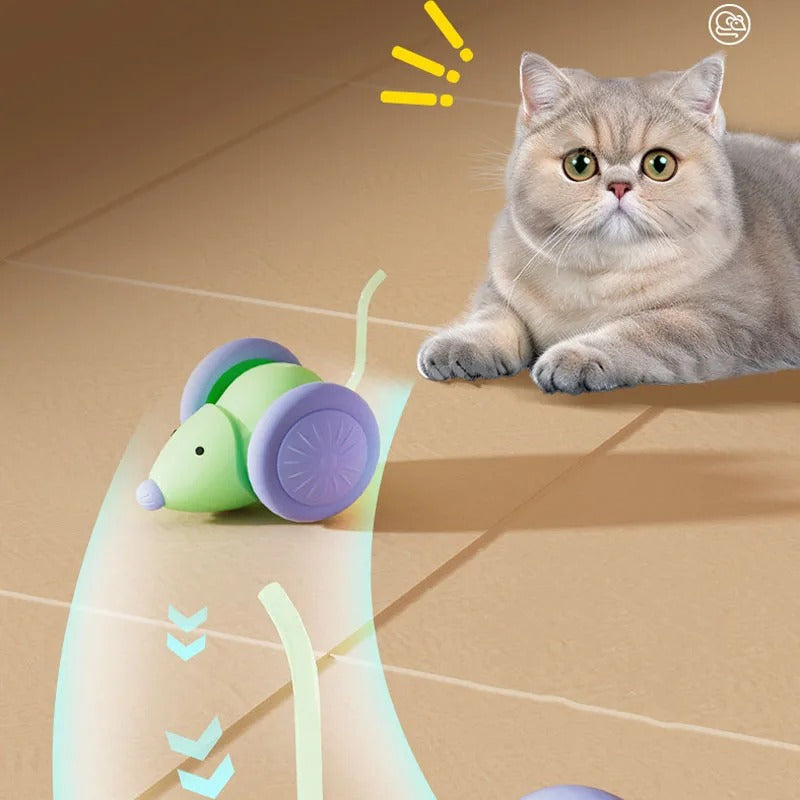 RoboMouse™ – Elektrische Maus mit Hinderniserkennung