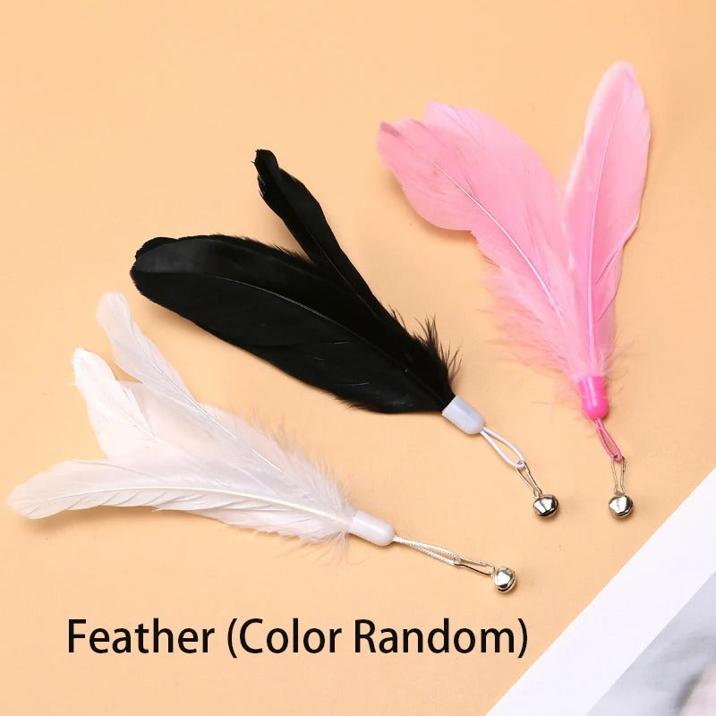 FlyTeaser™ – Interaktive Federangel mit Saugnapf